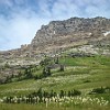 GNP2014 352 DSC05196 : Glacier NP, Highline Trail, vacation 2014