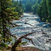 GNP2014 150 DSC05065 : Glacier NP, Johns Lake Trail, vacation 2014