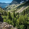 GNP2014 010 DSC03286 : Glacier NP, Mt Henry Scenic Point, vacation 2014