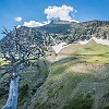 At this point we began seeing all these dead trees. Nesse ponto começamos a ver essas árvores mortas. : Glacier NP, Mt Henry Scenic Point, vacation 2014