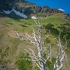 GNP2014 014 DSC03290 : Glacier NP, Mt Henry Scenic Point, vacation 2014