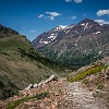 What made this hike a bit tough was the lack of shade. O que tornou essa caminhada um pouco dura foi a falta de sombra. : Glacier NP, Mt Henry Scenic Point, vacation 2014