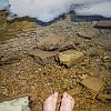 Just as I got my feet in the icy cold water and reached for my camera, my feet began to hurt because of the cold. See how crystal clear the water is! Assim que coloquei meus pés na água super-gelada e peguei minha câmera, meus pés começaram a doer com a frieza. Veja como a água é cristalina! : Glacier NP, Ptarmigan Tunnel, vacation 2014