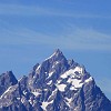 gtnp019