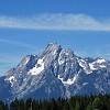 gtnp009