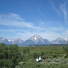 gtnp017