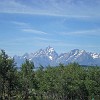 gtnp018