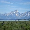 gtnp020