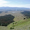 gtnp035