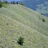 gtnp038
