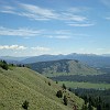 gtnp039