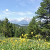 gtnp041