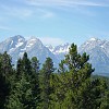 gtnp044