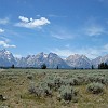gtnp051