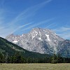 gtnp054