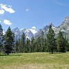 gtnp055