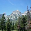 gtnp056