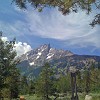 gtnp058