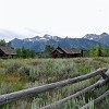 gtnp094