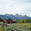 gtnp095