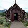 gtnp099