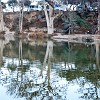 Rio Frio reflections. Reflexos no Rio Frio.