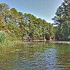 Taken with my Samsung Infuse phone. Foto tirada com meu celular Samsung Infuse. : Lake Bastrop South Shore