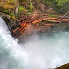 042DSC 0447 8 9