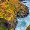 049DSC 0463 4 5