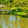 110DSC 0972 3 4