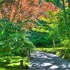 125DSC 0984 5 6