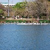 DSC 0181
