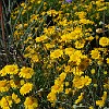 DSC 0188