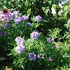 DSC 0189
