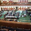 DSC 0224