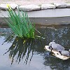 DSC 0390