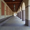 DSC 0408