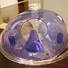DSC 0427