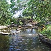 Visita ao Jardim Botânico de Austin no parque Zilker. Vista do jardim japonês.