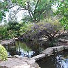 DSC 0443
