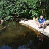 DSC 0445