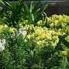 DSC 0456