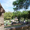 DSC 0460