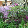 DSC 0461