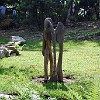 DSC 0466