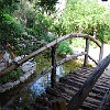DSC 0468