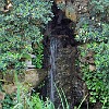 DSC 0471