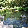 DSC 0472