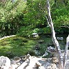 DSC 0474