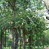 DSC 0478